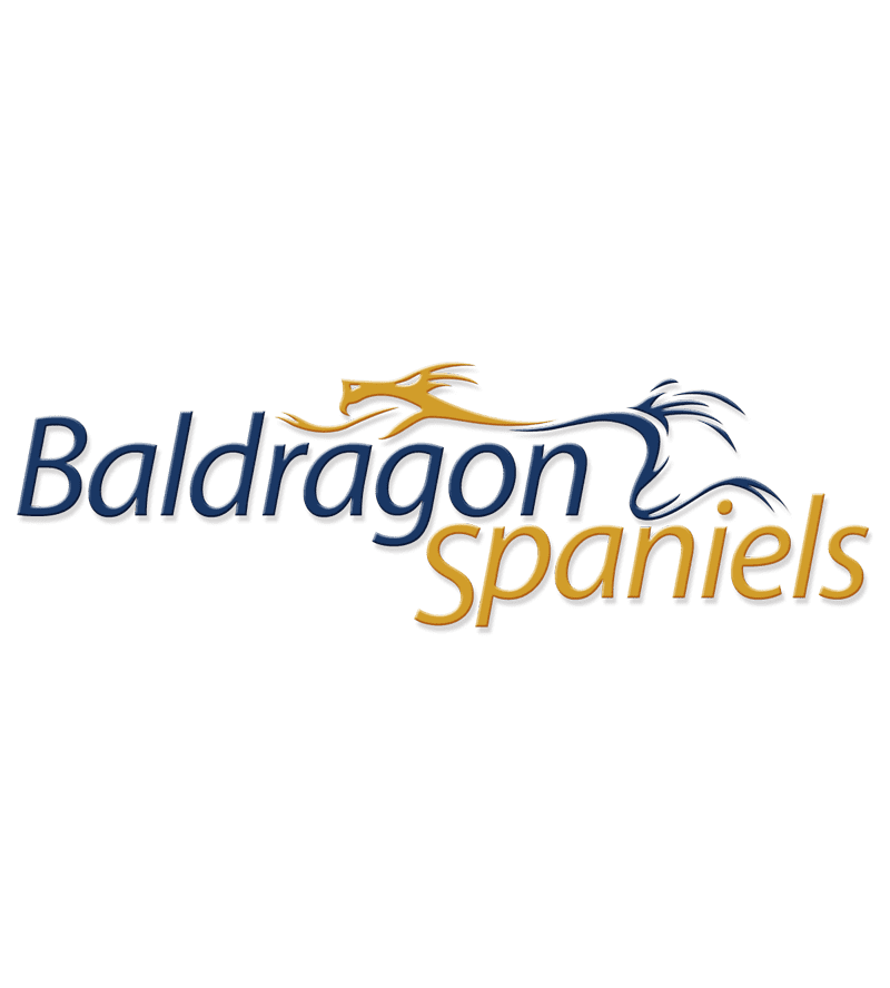 baldragon_logo