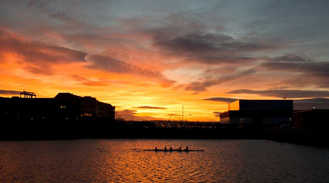 sunset rowers