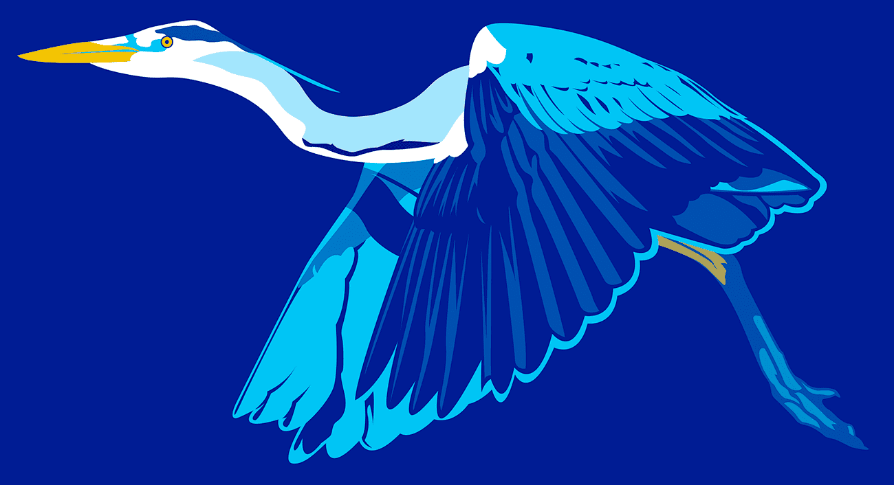 heron-flight-small